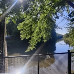 IMG_20240609_082008.jpg